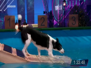 Top Dog Germany 16.07.2022