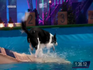 Top Dog Germany 16.07.2022