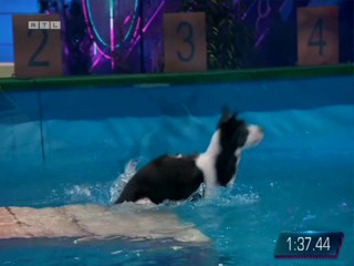 Top Dog Germany 16.07.2022