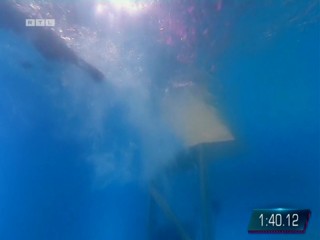 Top Dog Germany 16.07.2022