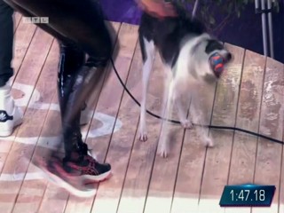 Top Dog Germany 16.07.2022