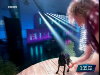 Top Dog Germany 16.07.2022