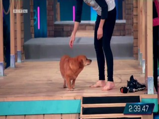 Top Dog Germany 16.07.2022