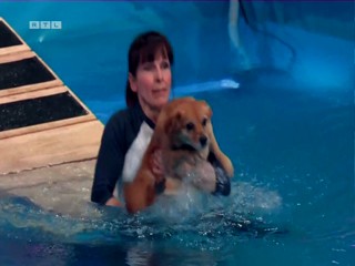 Top Dog Germany 16.07.2022