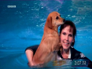 Top Dog Germany 16.07.2022