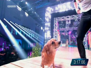 Top Dog Germany 16.07.2022