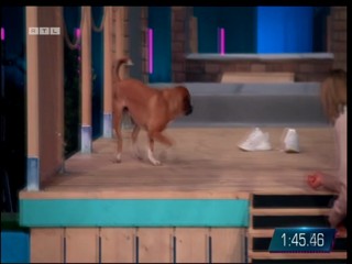 Top Dog Germany VIP 29.07.2022