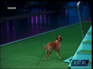 Top Dog Germany VIP 29.07.2022