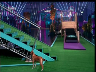Top Dog Germany VIP 29.07.2022