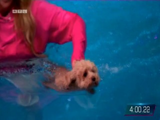 Top Dog Germany VIP 29.07.2022