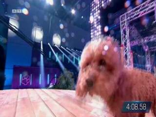 Top Dog Germany VIP 29.07.2022