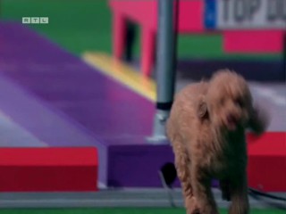 Top Dog Germany VIP 29.07.2022