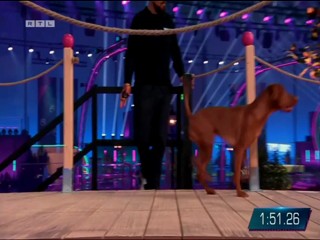 Top dog Germany 29.07.2022