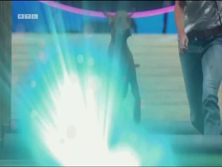 Top dog Germany 29.07.2022