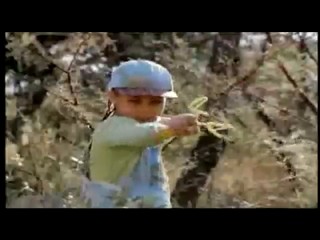 Dunk tank italian show