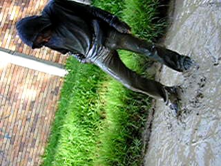 Muddy puddle boy