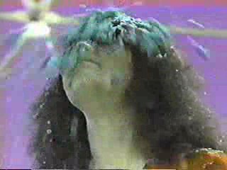 You Can't Do That On Television