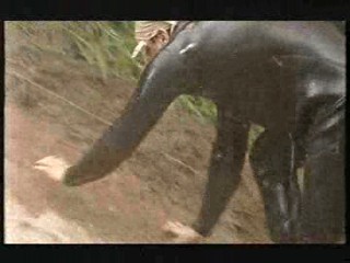 I'm a Celebrity - Hell Hill 01