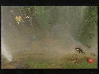 I'm a Celebrity - Hell Hill 2