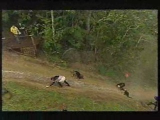 I'm a Celebrity - Hell Hill 2