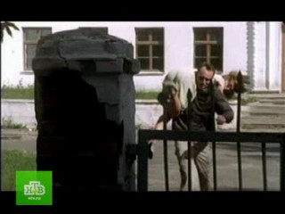 Serial   Swan Paradise 