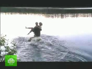 Serial   Swan Paradise 