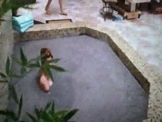 Big Momma's House 2 (2006)