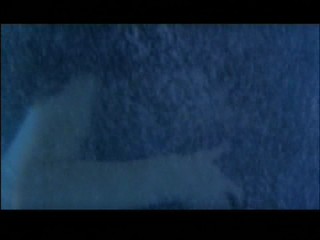 Romeo and Juliet behind the scenes