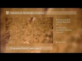 Having a wish: Pie fight