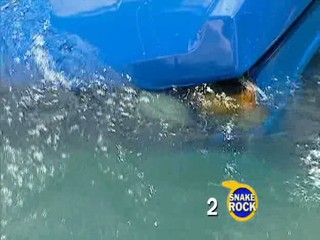 I'm a Celebrity, Get Me Outta Here!