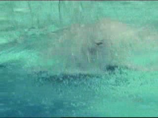 Brothers & Sisters (2006)