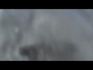 Looney Tunes: Back in Action