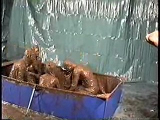 Aquantics wam convention - Wales 1991