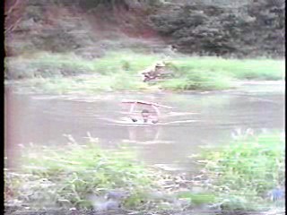 Saturday Night Live,  Beachhead