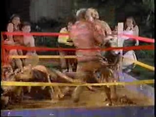 U.S. tv drama,  Silk Stalkings,  Power Rangers,  Mexican Movie