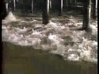 U.S. Sitcom,  Baywatch