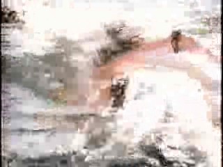 Thunder in Paradise,  Big Girls Don't Cry - They Get Even.