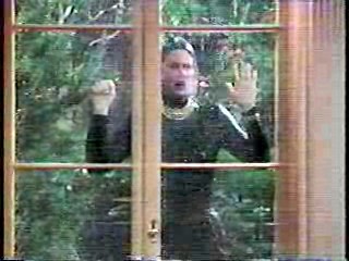 Heaven Help Us,  The Nanny,  Danielle Steele's Family Album.