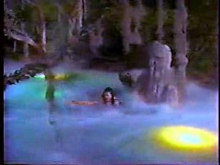 Heaven Help Us,  The Nanny,  Danielle Steele's Family Album.