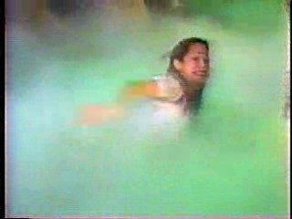 Heaven Help Us,  The Nanny,  Danielle Steele's Family Album.