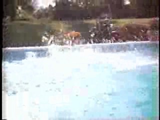 A House in the Hills