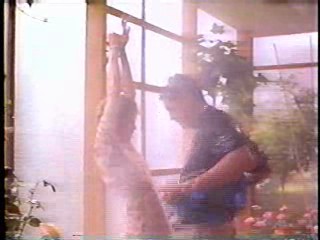 A House in the Hills