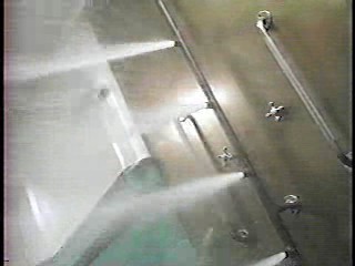 The X Files,  Earth 2