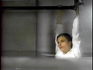 The X Files,  Earth 2