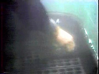 The X Files,  Earth 2