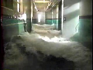 The X Files,  Earth 2