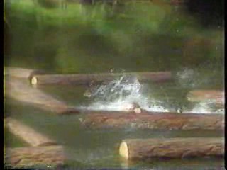 Heaven Help Us,  Wild West Showdown