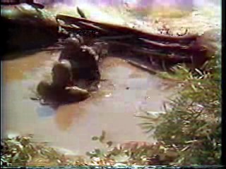 Lucy Rap,  Beethoven's 2nd