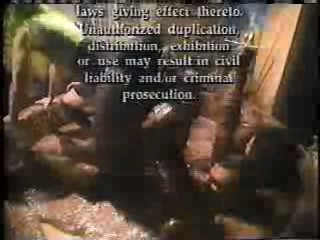 The Late Show with David Letterman