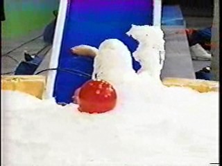 What Would You Do + CHiPs